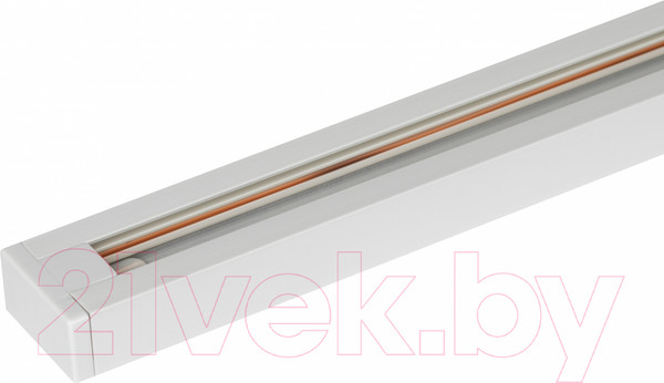 Изображение товара Шинопровод ЭРА TR-100-1PT-WH / Б0054457