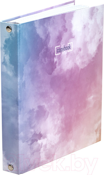 Изображение товара Тетрадь Brauberg Cloud / 404094 (240л)