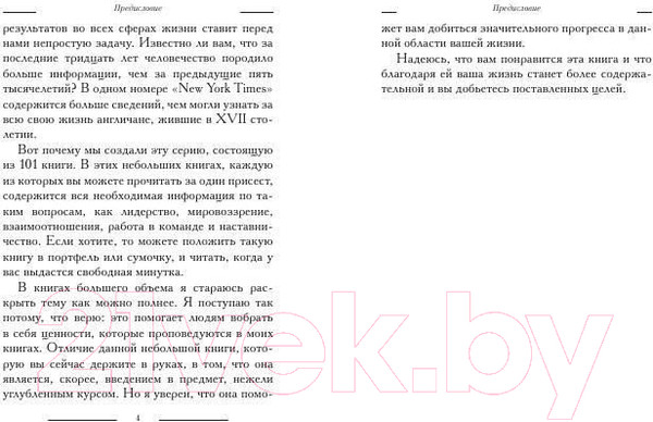 Изображение товара Книга Попурри Успех 101 (Максвелл Дж.)