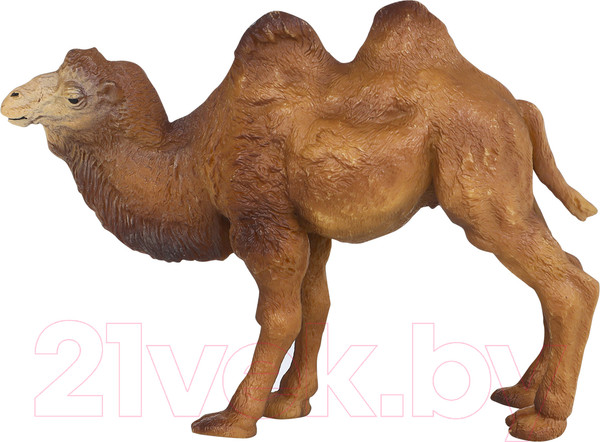 Изображение товара Фигурка коллекционная Masai Mara Мир диких животных. Верблюд / MM211-104