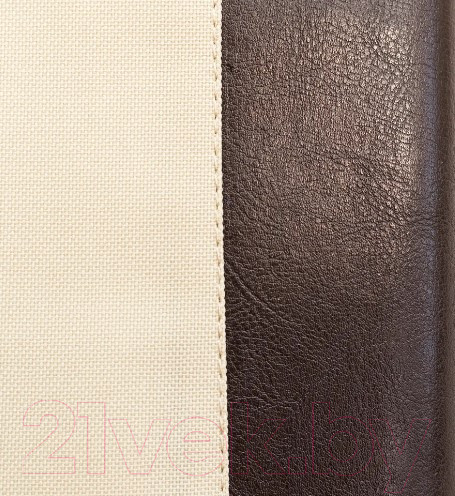 Изображение товара Папка-портфель Малевичъ 195041  (бежевый)