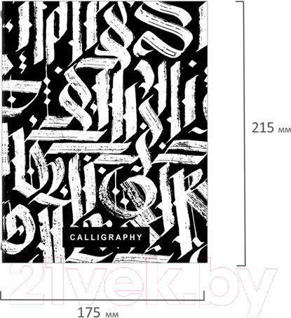 Изображение товара Тетрадь Brauberg Calligraphy / 404097 (240л)