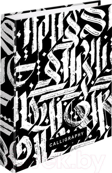 Изображение товара Тетрадь Brauberg Calligraphy / 404097 (240л)