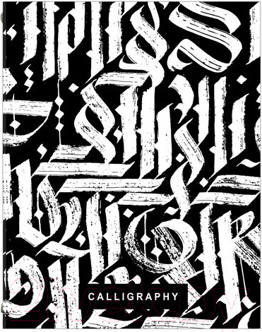 Изображение товара Тетрадь Brauberg Calligraphy / 404097 (240л)
