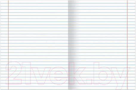 Изображение товара Набор тетрадей Brauberg Shade / 404324 (12шт)