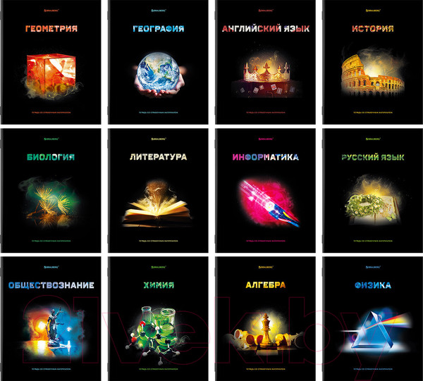 Изображение товара Набор тетрадей Brauberg Shade / 404324 (12шт)