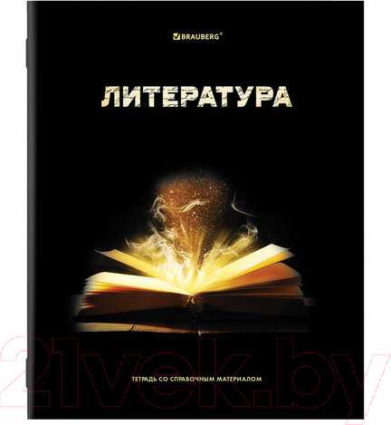 Изображение товара Набор тетрадей Brauberg Shade / 404324 (12шт)