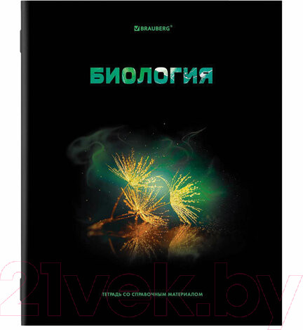 Изображение товара Набор тетрадей Brauberg Shade / 404324 (12шт)