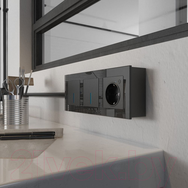 Изображение товара Коробка открытого монтажа Werkel W8000008 (черный)