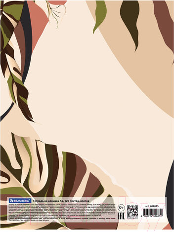 Изображение товара Тетрадь Brauberg Vision / 404075 (120л)