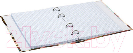 Изображение товара Тетрадь Brauberg Vision / 404075 (120л)