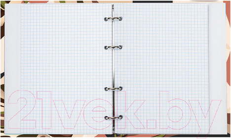 Изображение товара Тетрадь Brauberg Vision / 404075 (120л)