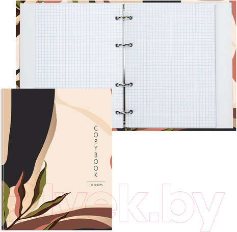 Изображение товара Тетрадь Brauberg Vision / 404075 (120л)