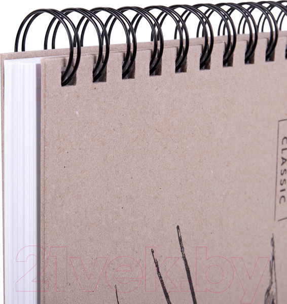 Изображение товара Скетчбук Brauberg Art Classic / 113853