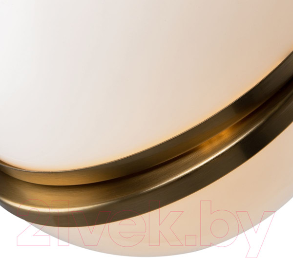 Изображение товара Потолочный светильник Freya FR5181PL-01BS