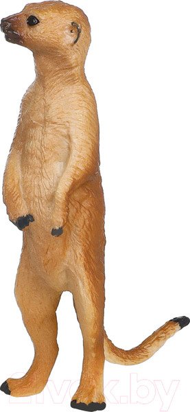 Изображение товара Набор фигурок коллекционных Masai Mara Мир диких животных. Семья сурикатов / MM211-139