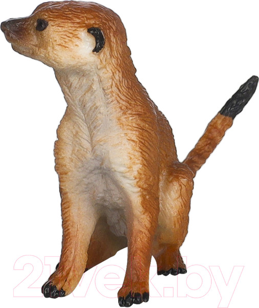 Изображение товара Набор фигурок коллекционных Masai Mara Мир диких животных. Семья сурикатов / MM211-139