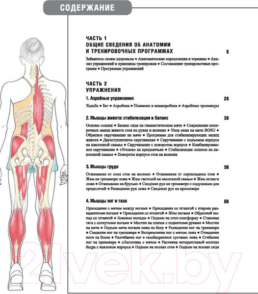 Изображение товара Книга Попурри Анатомия фитнеса и силовых упражнений для женщин (Велла М.)