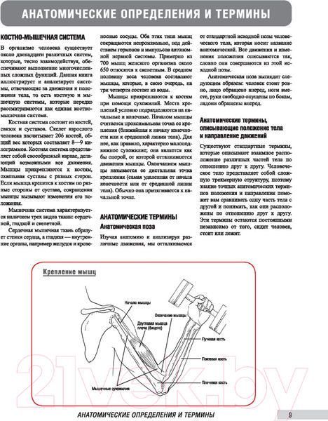Изображение товара Книга Попурри Анатомия фитнеса и силовых упражнений для женщин (Велла М.)