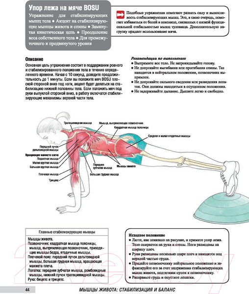 Изображение товара Книга Попурри Анатомия фитнеса и силовых упражнений для женщин (Велла М.)
