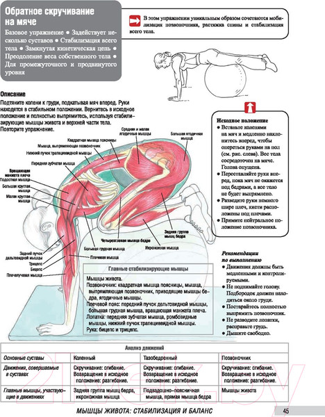 Изображение товара Книга Попурри Анатомия фитнеса и силовых упражнений для женщин (Велла М.)