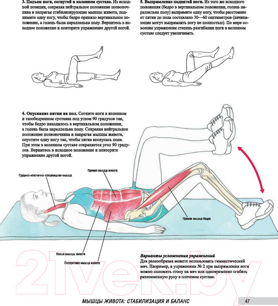 Изображение товара Книга Попурри Анатомия фитнеса и силовых упражнений для женщин (Велла М.)