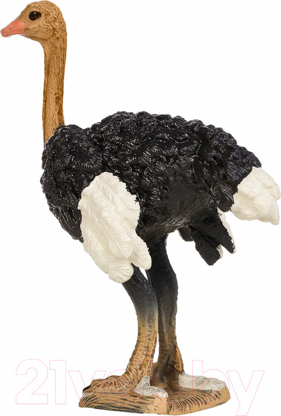 Изображение товара Фигурка коллекционная Masai Mara Мир диких животных. Птица страус / MM211-157