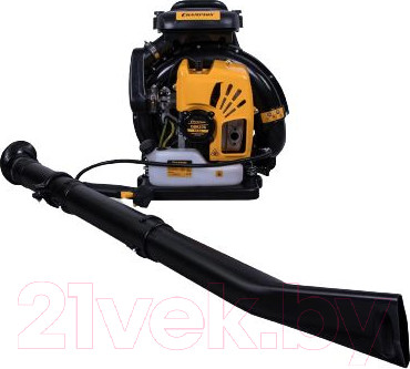 Изображение товара Воздуходувка бензиновая Champion GBR376