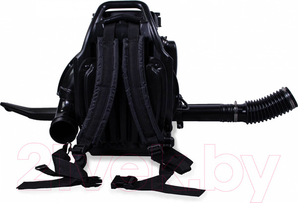 Изображение товара Воздуходувка бензиновая Champion GBR376