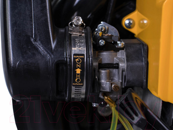 Изображение товара Воздуходувка бензиновая Champion GBR376