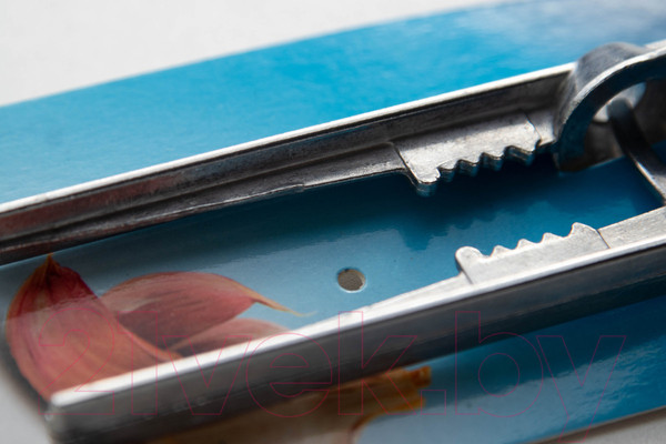 Изображение товара Пресс для чеснока Леда-Белгород ЧН-1