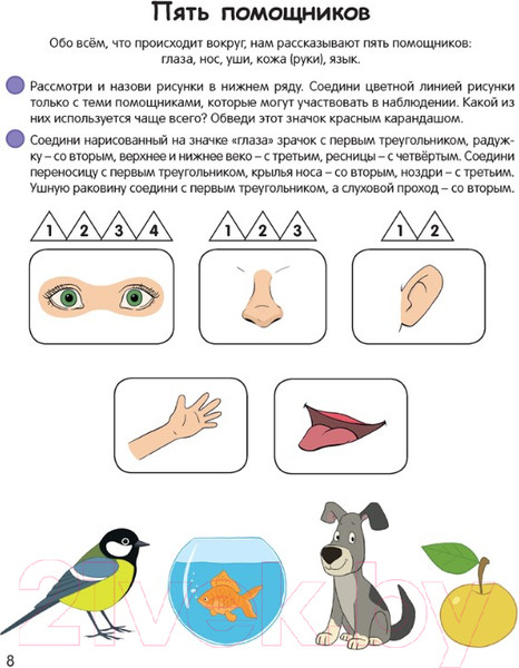 Изображение товара Развивающая книга Аверсэв Умней-ка 4-5 лет. Экологическая мозаика (Петрикевич А.А.)