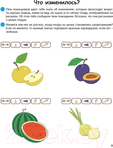 Изображение товара Развивающая книга Аверсэв Умней-ка 4-5 лет. Экологическая мозаика (Петрикевич А.А.)