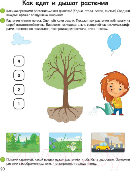 Изображение товара Развивающая книга Аверсэв Умней-ка 4-5 лет. Экологическая мозаика (Петрикевич А.А.)