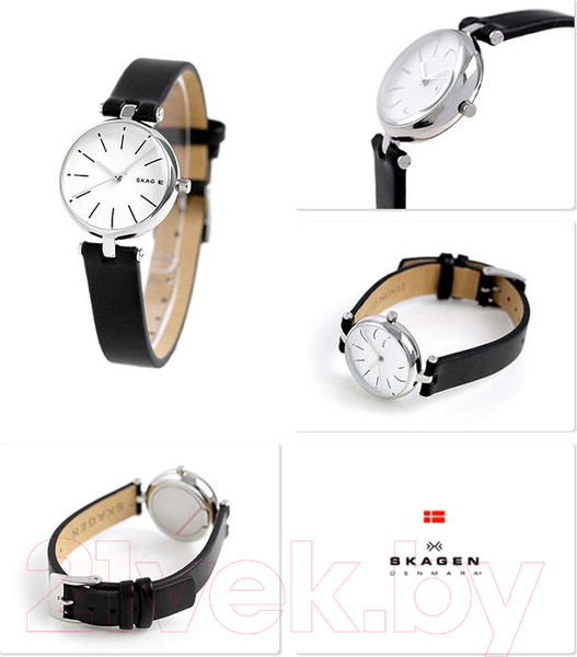 Изображение товара Часы наручные женские Skagen SKW2639
