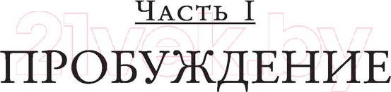 Изображение товара Книга АСТ Небо после бури (Тахир С.)