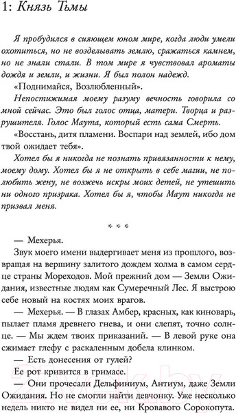 Изображение товара Книга АСТ Небо после бури (Тахир С.)