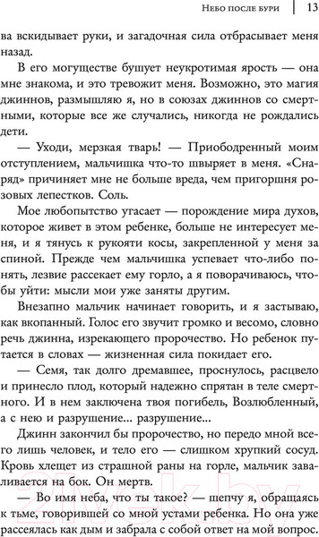 Изображение товара Книга АСТ Небо после бури (Тахир С.)
