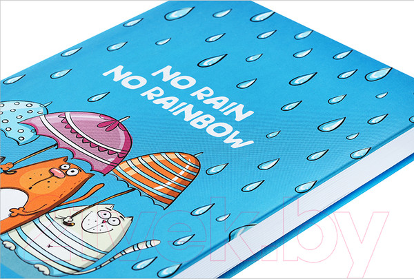 Изображение товара Записная книжка Полином No Rain No Rainbow / 3164 (96л)