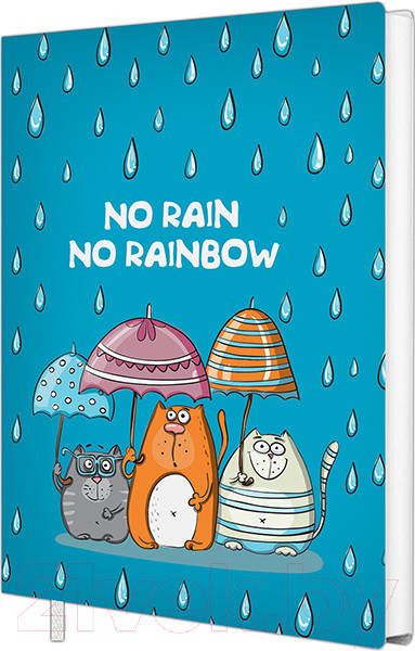 Изображение товара Записная книжка Полином No Rain No Rainbow / 3164 (96л)