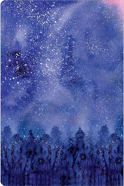 Изображение товара Записная книжка Полином Космоскетчи. Летняя ночь / 3170 (96л)