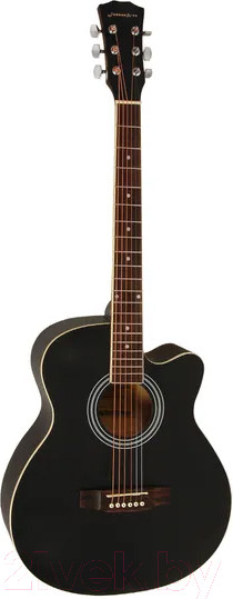 Изображение товара Акустическая гитара Elitaro E4020 BK (черный)