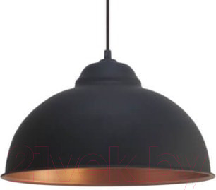 Изображение товара Потолочный светильник Eglo Truro 2 49247