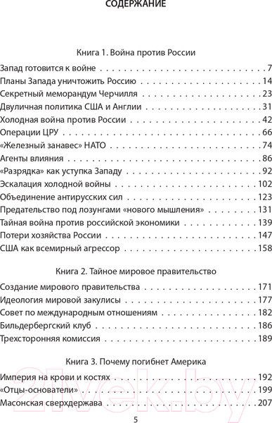 Изображение товара Книга Родина Почему погибнет Америка (Платонов О.А.)