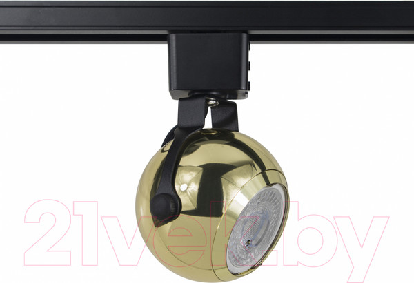 Изображение товара Трековый светильник ЭРА TR35-GU10 GD / Б0053299 (золото)