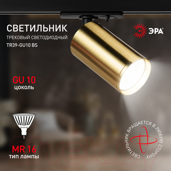 Изображение товара Трековый светильник ЭРА TR39-GU10 BS / Б0053311 (латунь)