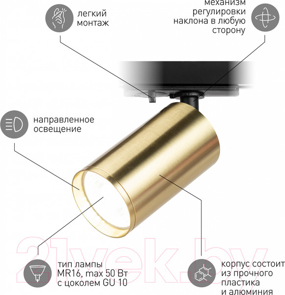 Изображение товара Трековый светильник ЭРА TR39-GU10 BS / Б0053311 (латунь)