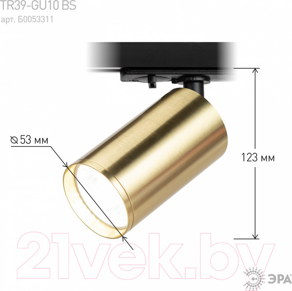 Изображение товара Трековый светильник ЭРА TR39-GU10 BS / Б0053311 (латунь)