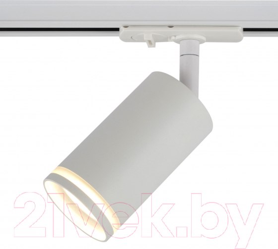 Изображение товара Трековый светильник ЭРА TR52-GU10 WH / Б0054165 (матовый белый)