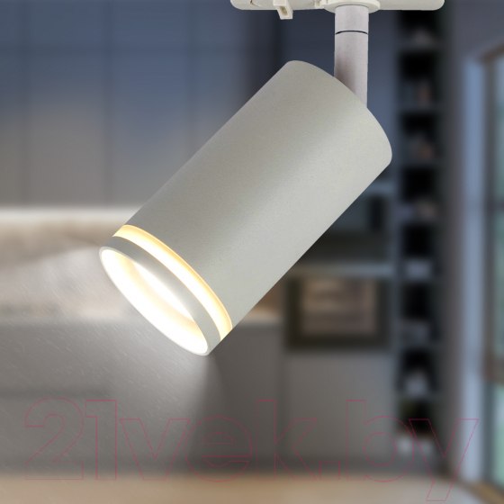 Изображение товара Трековый светильник ЭРА TR52-GU10 WH / Б0054165 (матовый белый)